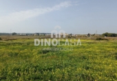 Non-developable land for sale on España, Cartaya, ref: TR351156 photo
