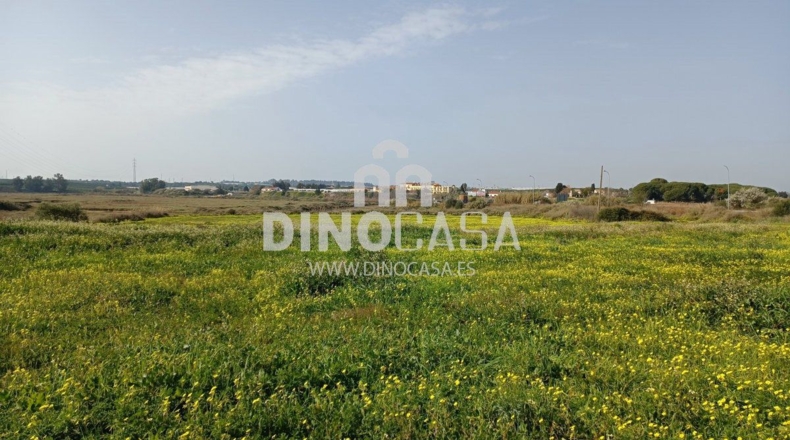 Хуэльва - Cartaya - 10500m2