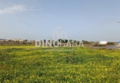 Non-developable land for sale on España, Cartaya, ref: TR351156 photo