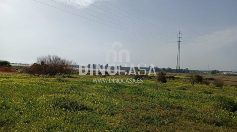 Хуэльва - Cartaya - 10500m2