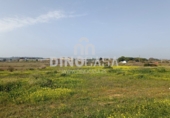 Non-developable land for sale on España, Cartaya, ref: TR351156 photo