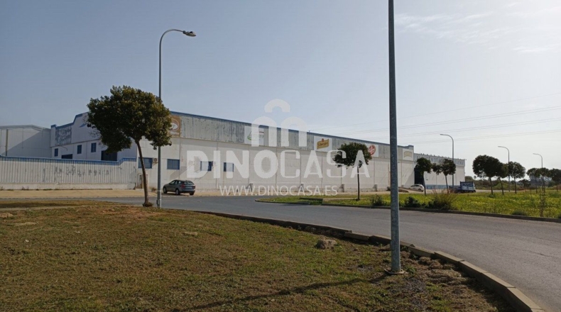Хуэльва - Cartaya - 10500m2