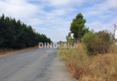 Nau industrial en venda a Cartaya ref.: TR58485 foto