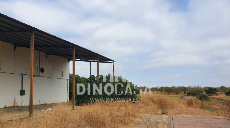 Huelva - Cartaya - 7200m2