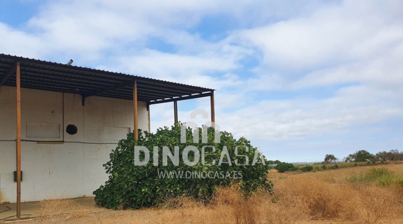Huelva - Cartaya - 7200m2