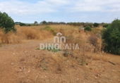 Nau industrial en venda a Cartaya ref.: TR58485 foto