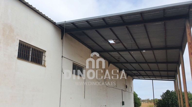Huelva - Cartaya - 7200m2