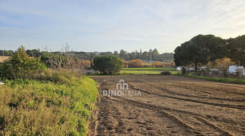 Huelva - Cartaya - 7586m2