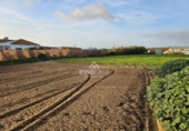 Finca rústica en venda a Cartaya ref.: TR274506 foto