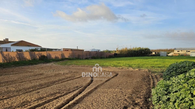Huelva - Cartaya - 7586m2