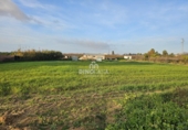 Finca rústica en venda a Cartaya ref.: TR274506 foto