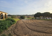 Finca rústica en venda a Cartaya ref.: TR274506 foto