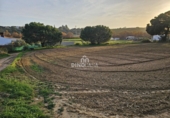 Finca rústica en venda a Cartaya ref.: TR274506 foto