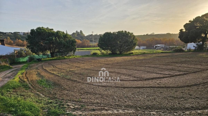 Huelva - Cartaya - 7586m2
