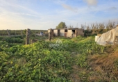 Finca rústica en venda a Cartaya ref.: TR274506 foto