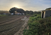 Finca rústica en venda a Cartaya ref.: TR274506 foto