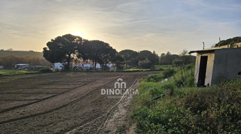 Huelva - Cartaya - 7586m2