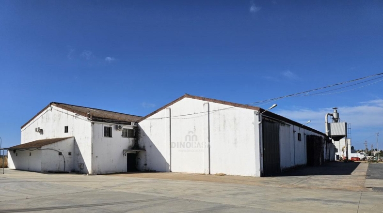 Huelva - Cartaya - 5500m2