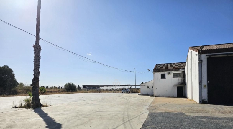 Huelva - Cartaya - 5500m2