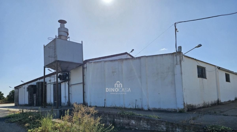 Huelva - Cartaya - 5500m2