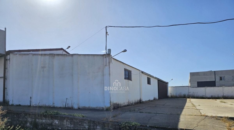 Huelva - Cartaya - 5500m2