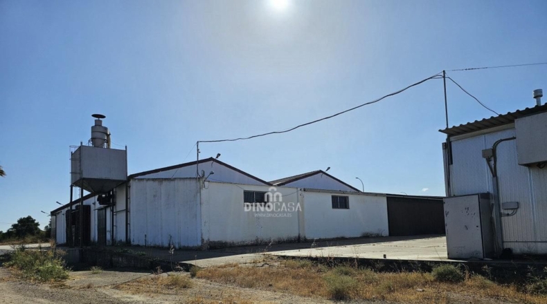 Huelva - Cartaya - 5500m2
