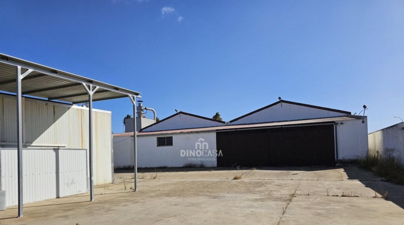 Huelva - Cartaya - 5500m2