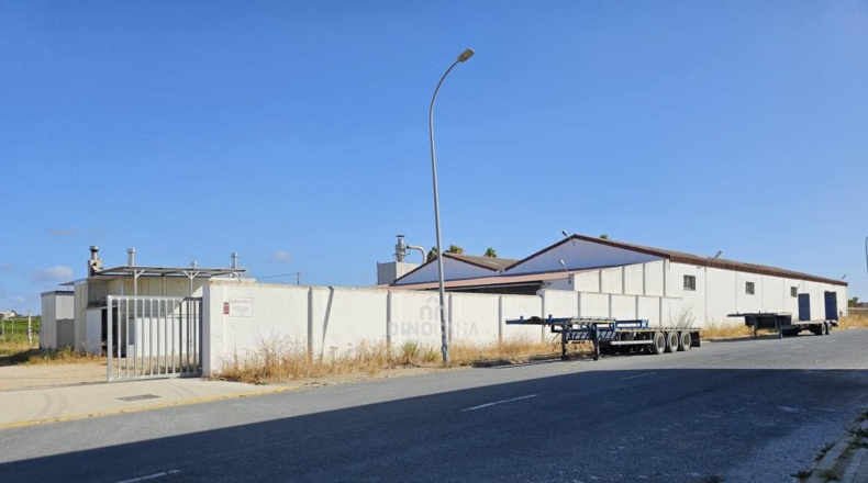 Huelva - Cartaya - 5500m2