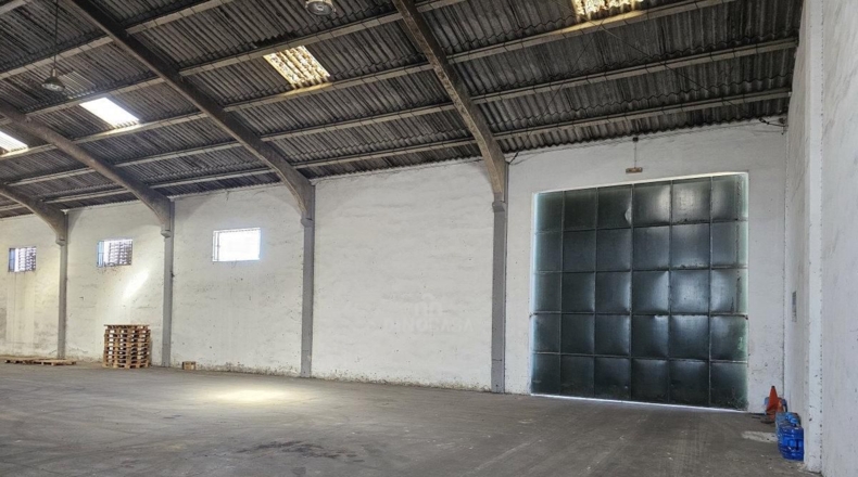 Huelva - Cartaya - 5500m2