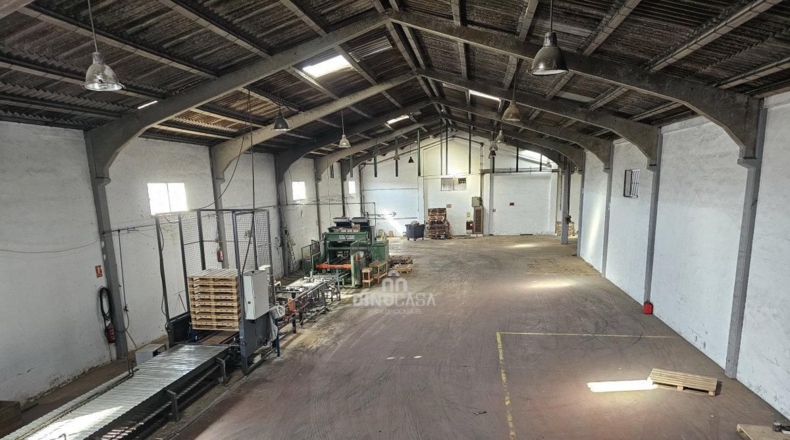 Huelva - Cartaya - 5500m2