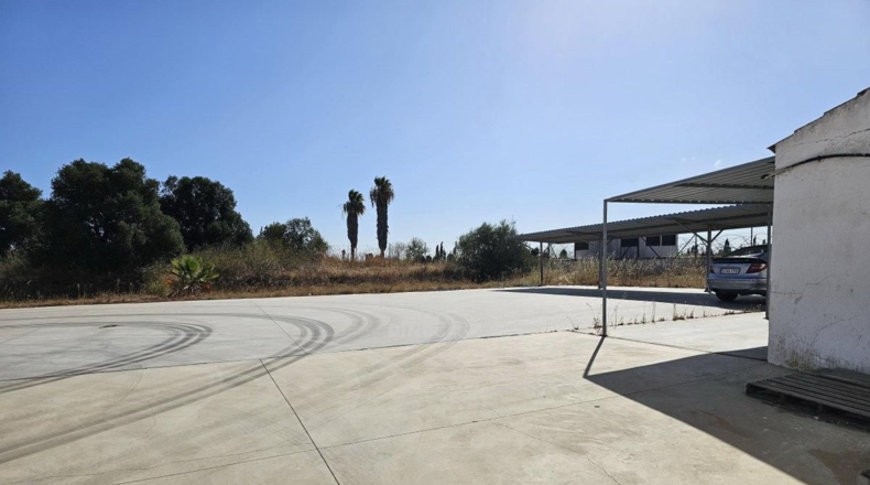 Huelva - Cartaya - 5500m2