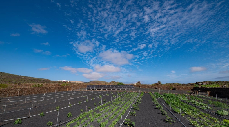 Las Palmas - Arrecife - 10000m2