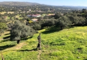 Finca rústica en venta en El Castillo de las Guardas ref: TR22850 foto