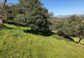 Finca rústica en venta en El Castillo de las Guardas ref: TR22850 foto