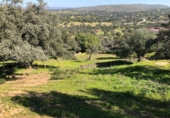 Finca rústica en venta en El Castillo de las Guardas ref: TR22850 foto