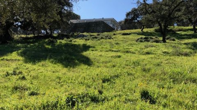 Sevilla - El Castillo de las Guardas - 18000m2