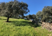 Finca rústica en venta en El Castillo de las Guardas ref: TR22850 foto