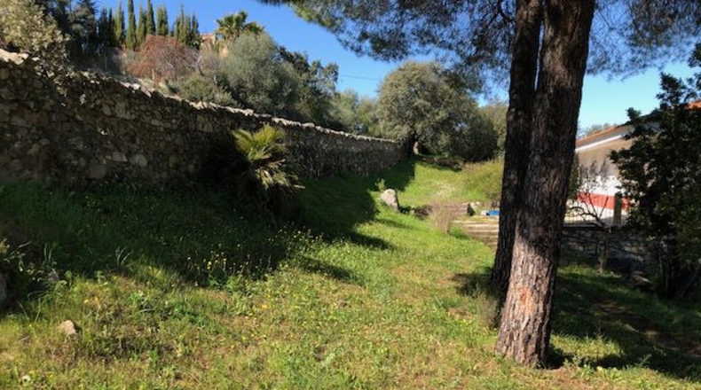 Sevilla - El Castillo de las Guardas - 18000m2