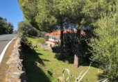 Finca rústica en venta en El Castillo de las Guardas ref: TR22850 foto