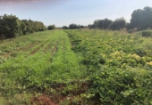Sòl urbà en venda a la España, Sevilla, ref.: TR32731 foto