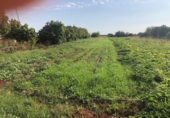 Sòl urbà en venda a la España, Sevilla, ref.: TR32731 foto