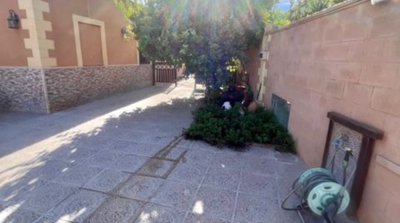 Sevilla - Dos Hermanas - 700m2