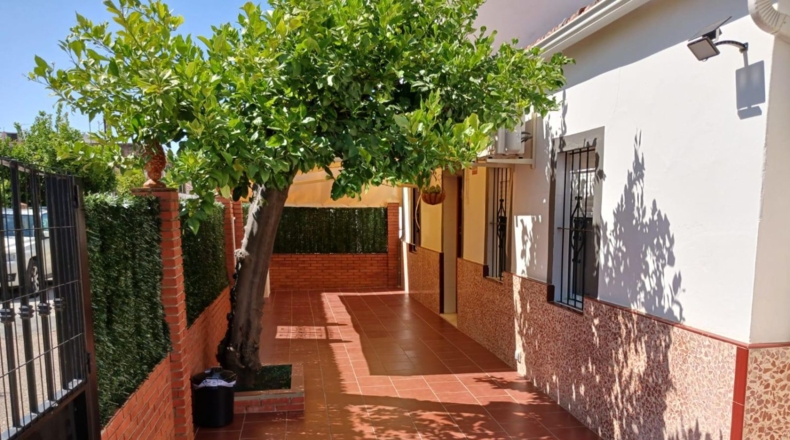 Sevilla - Villanueva del Río y Minas - 350m2