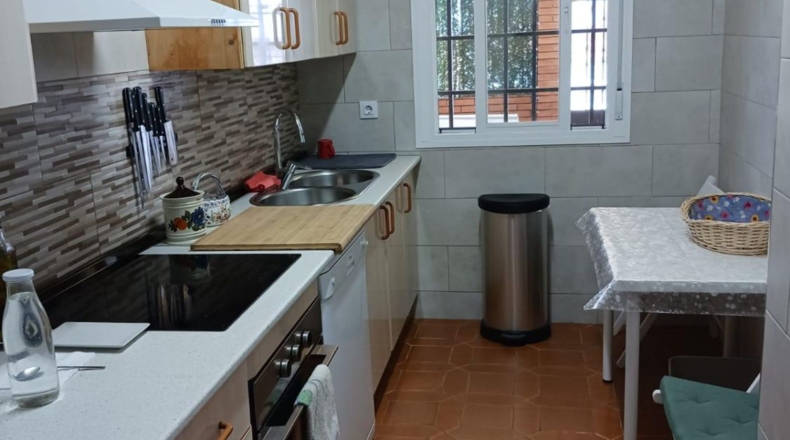 Sevilla - Villanueva del Río y Minas - 350m2