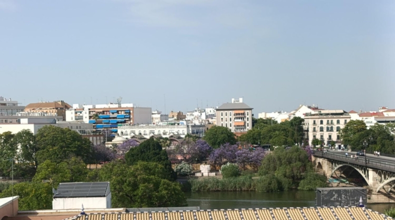 Seville - Seville - 195m2