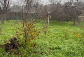 Gerena 1000&nbsp;m² 