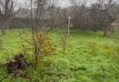 Urban land for sale in Gerena ref: TR377462 photo