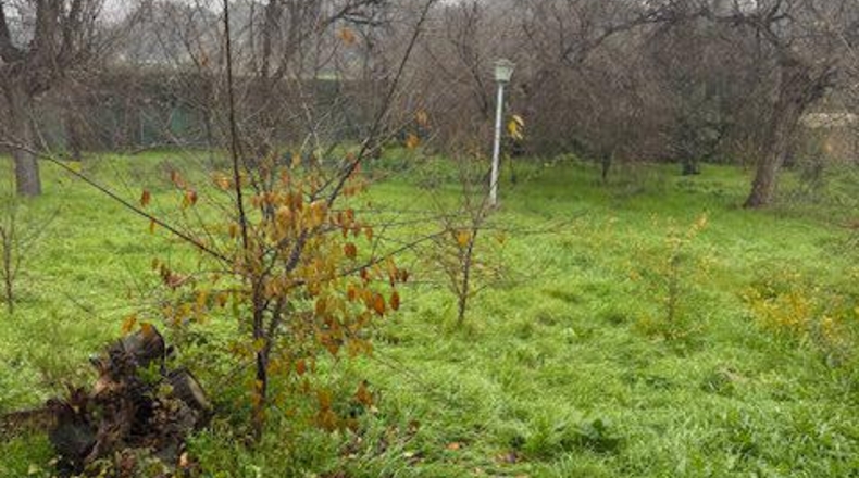 Seville - Gerena - 1000m2