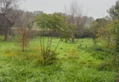 Urban land for sale in Gerena ref: TR377462 photo