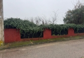 Urban land for sale in Gerena ref: TR377462 photo